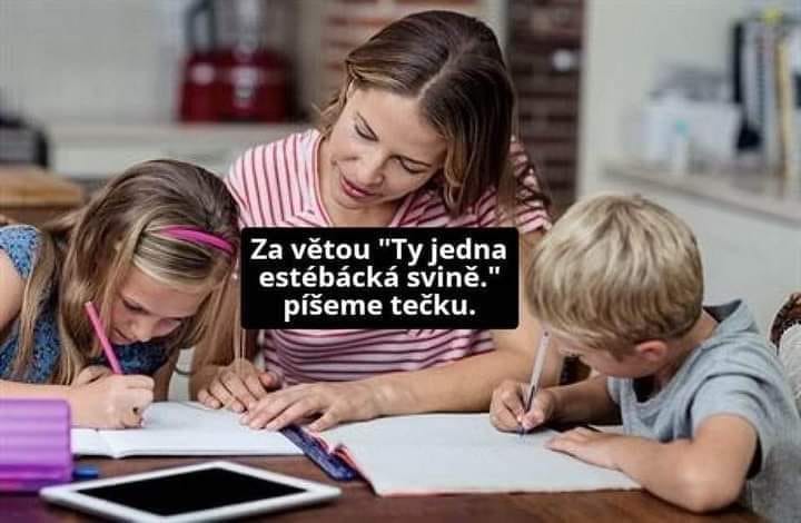 Obrázek domaci vychova