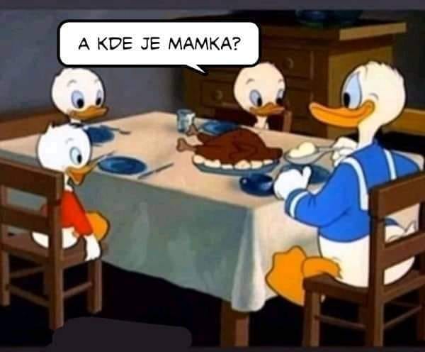 Obrázek donalde kde je mamka