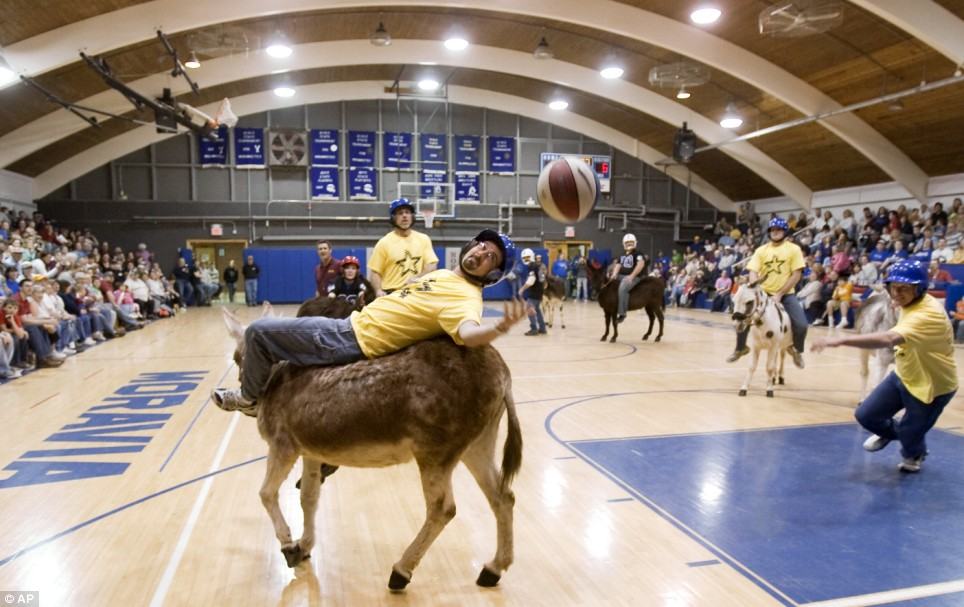 Obrázek donkey basketball