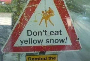 Obrázek dont eat the yellow snow