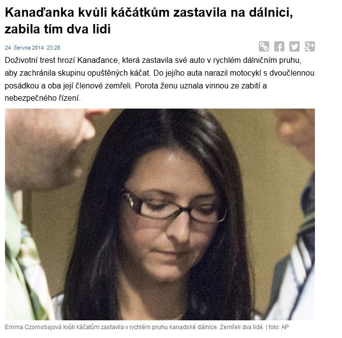 Obrázek dont save animals lol