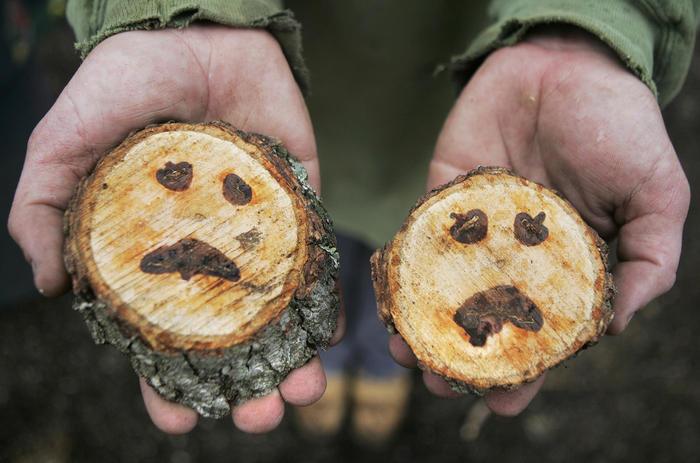 Obrázek dreveni smajlici