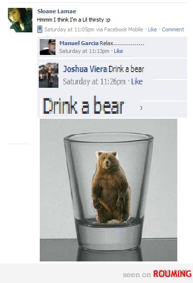 Obrázek drink a bear