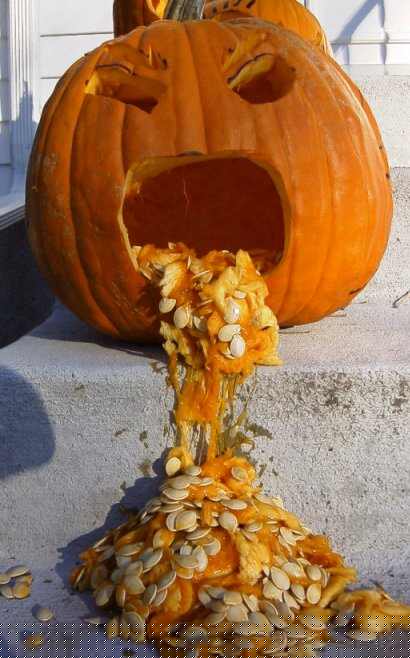 Obrázek drunk pumpkin