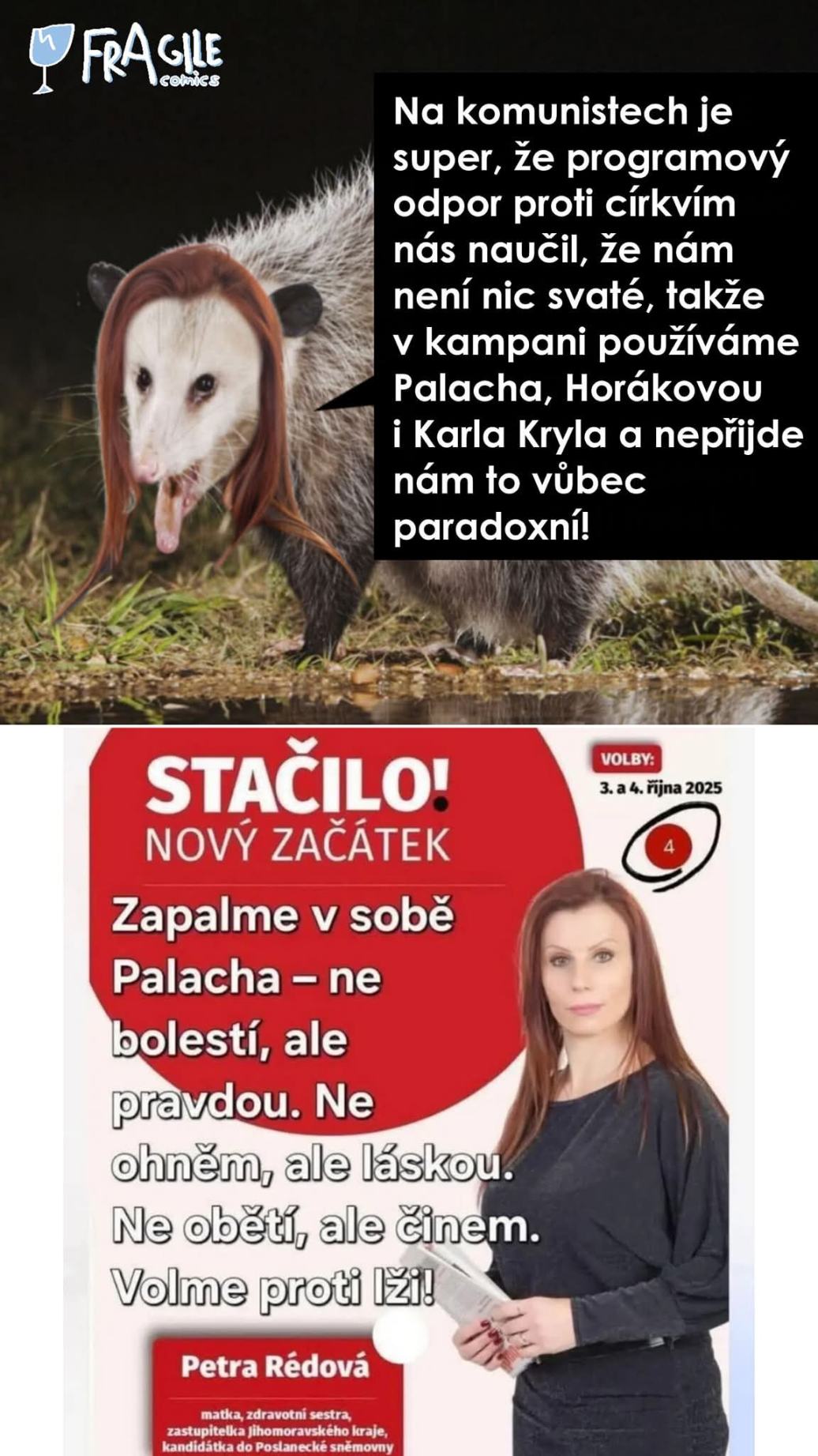 Obrázek dualita komousu