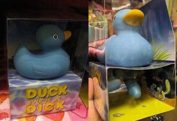 Obrázek duck with a dick