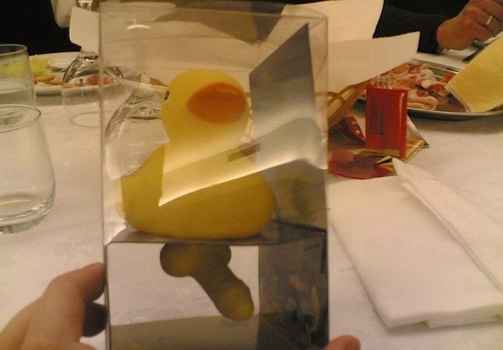 Obrázek duck with dick