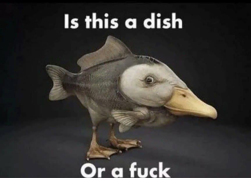 Obrázek ducking fish