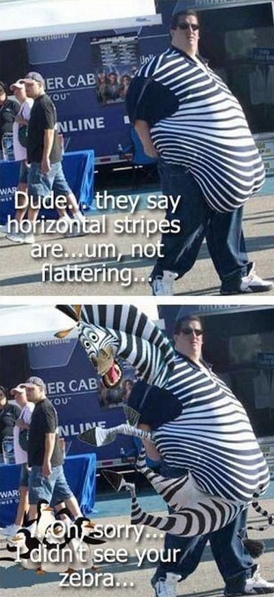 Obrázek dude zebra