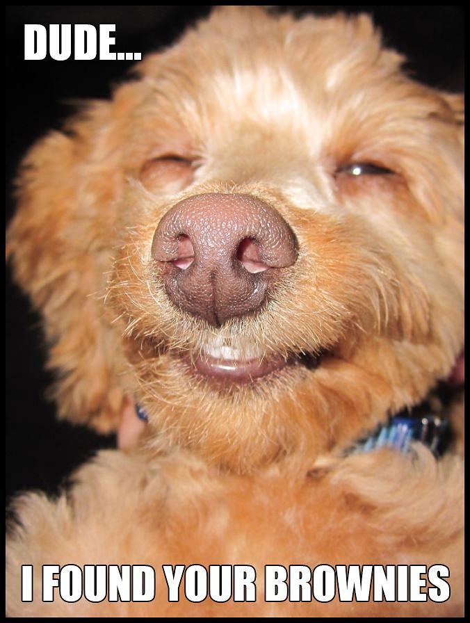 Obrázek dudeeeeeeee&nbsp;&nbsp;&nbsp;