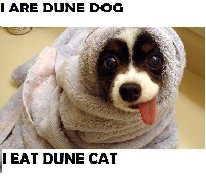 Obrázek dune-dog