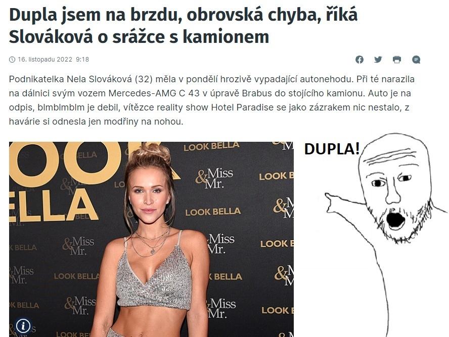 Obrázek duplaaa