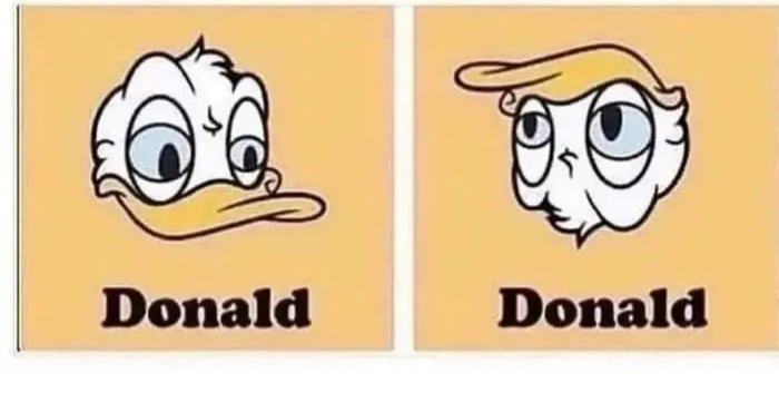 Obrázek dva&nbsp;donaldi