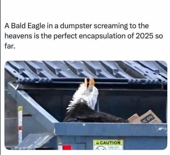 Obrázek eagle
