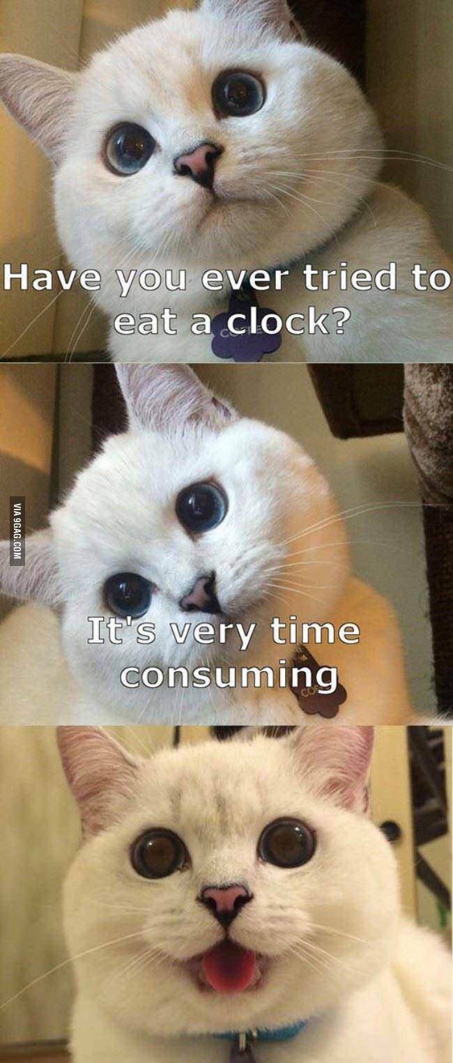 Obrázek eat a clock