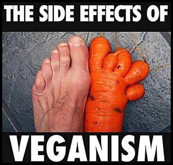 Obrázek effects-veganism
