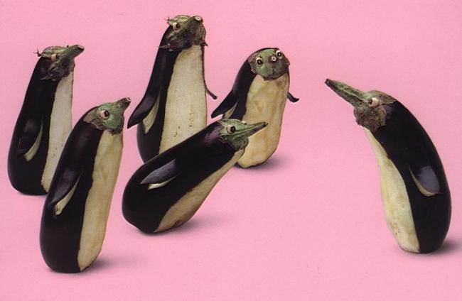 Obrázek eggplantguins
