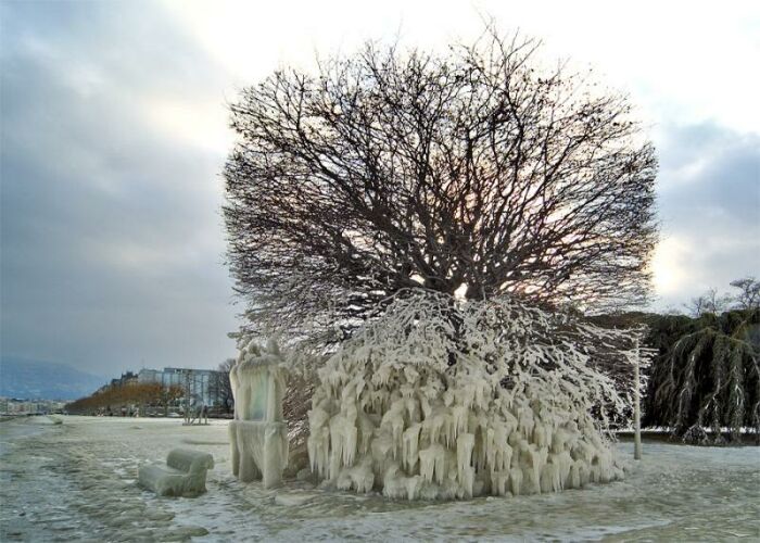 Obrázek eistree