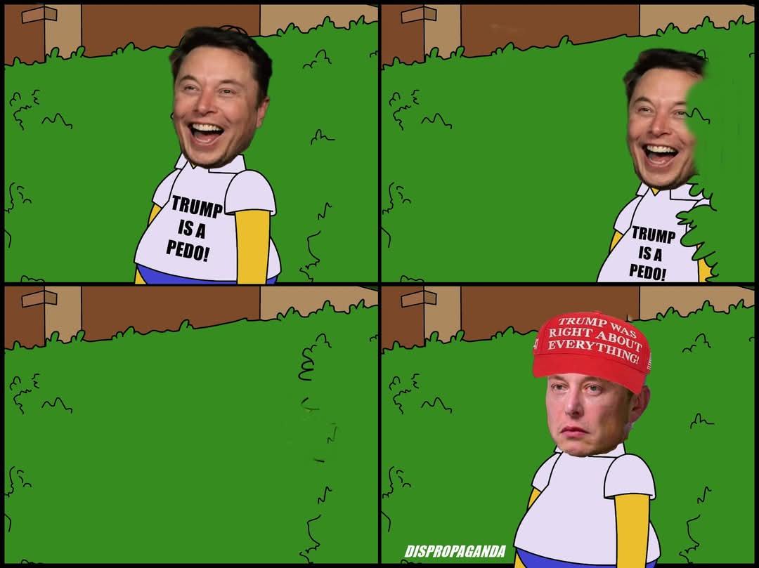 Obrázek elon promena