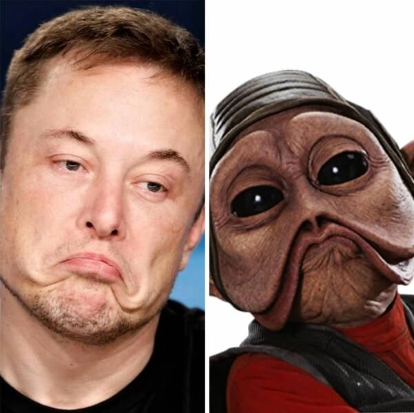 Obrázek elonandmask