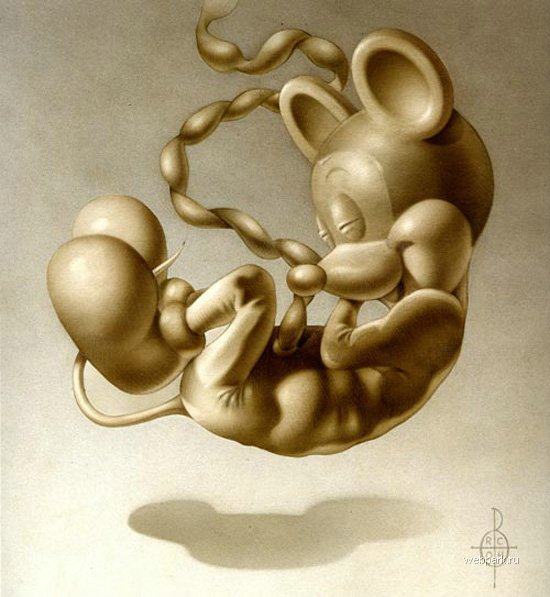 Obrázek embryo