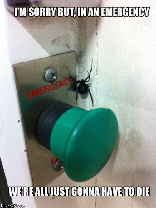 Obrázek emergency spider