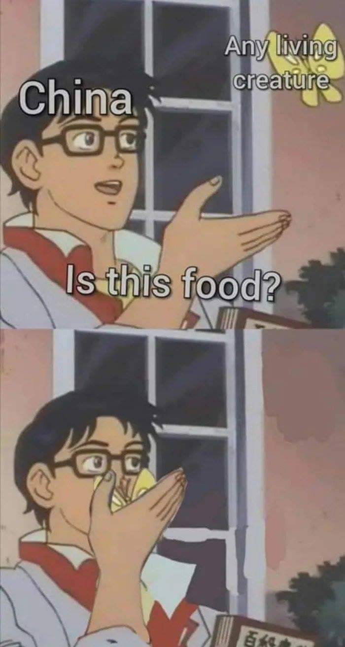 Obrázek everything is a soup if youre brave enough