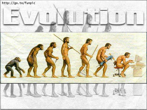 Obrázek evoluce