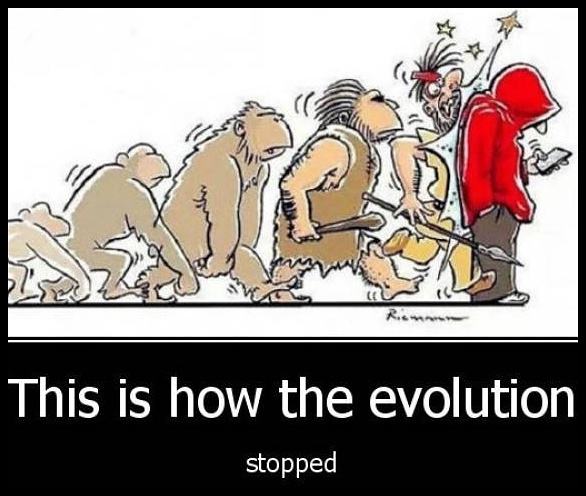 Obrázek evolution-stopped