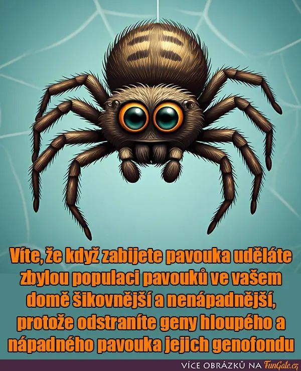 Obrázek evospider