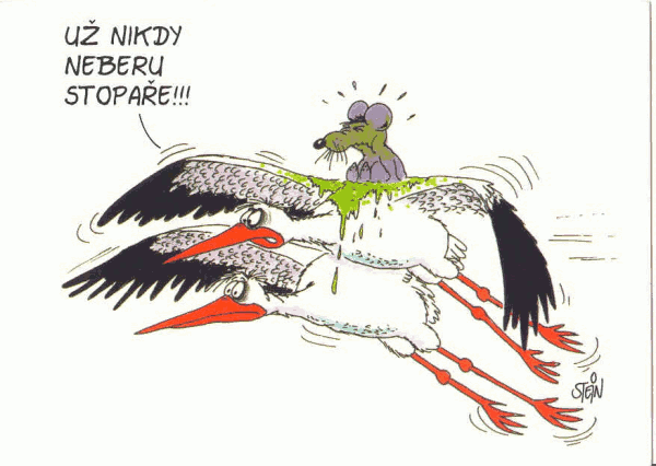 Obrázek f ftipky08