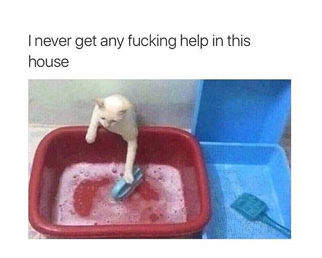 Obrázek f&nbsp;ukin&nbsp;help