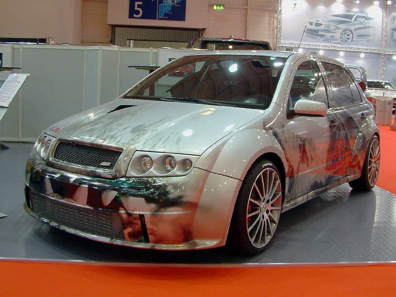 Obrázek fabia001