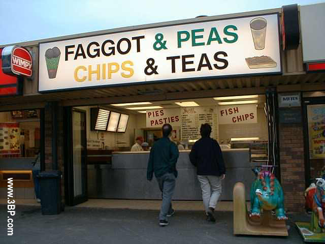 Obrázek faggot