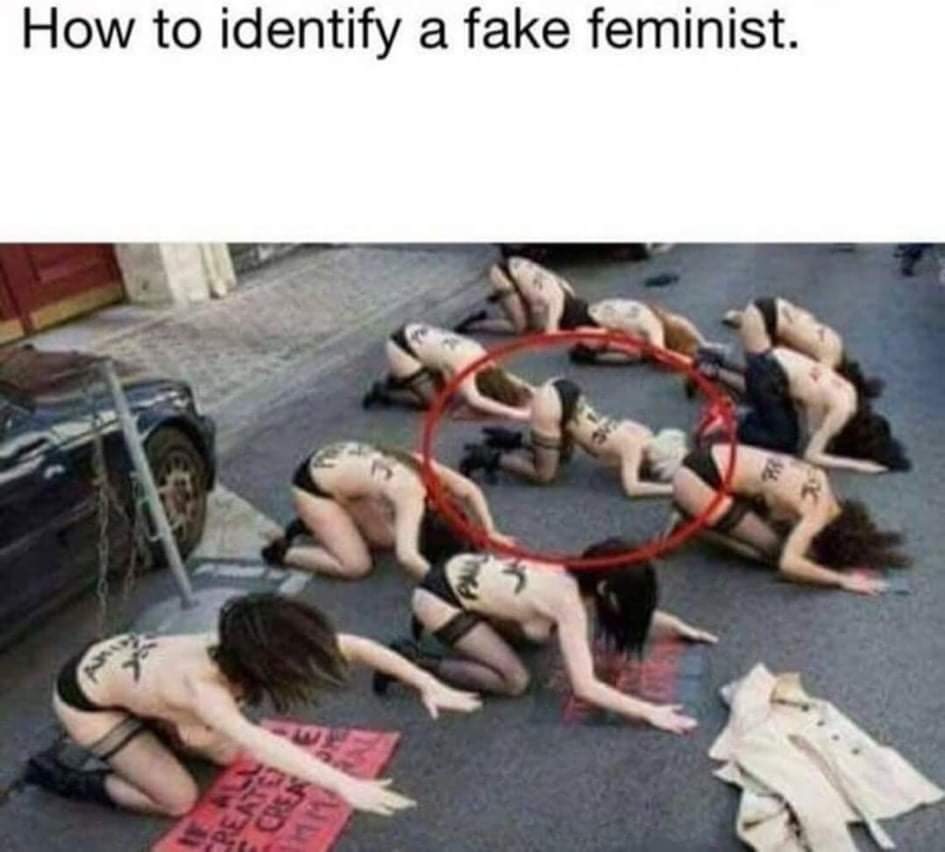 Obrázek fake feminist