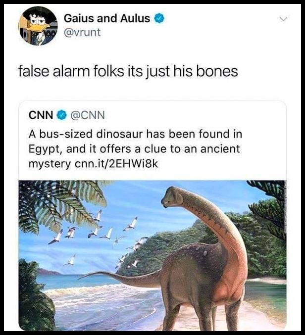 Obrázek falsealarm