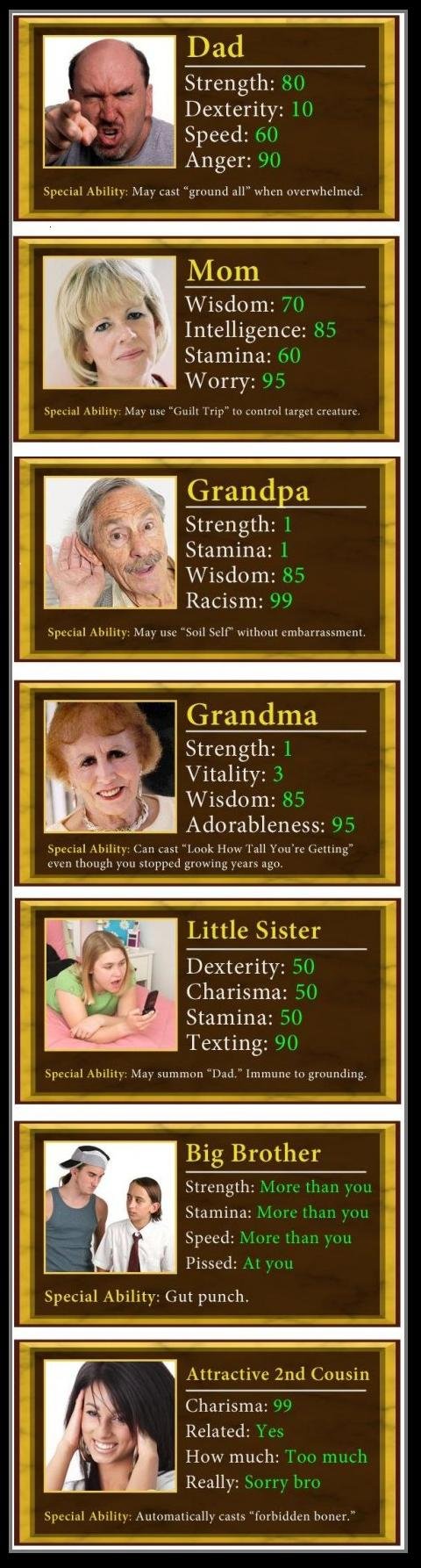 Obrázek family stats