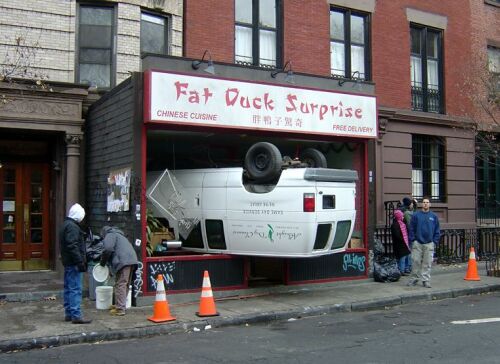 Obrázek fat-duck-surprise
