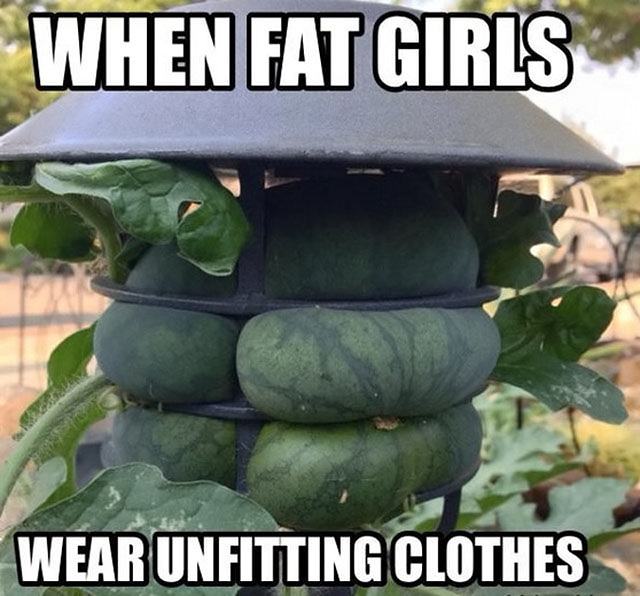 Obrázek fat-giirls 