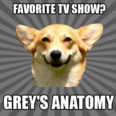 Obrázek favorite tv show