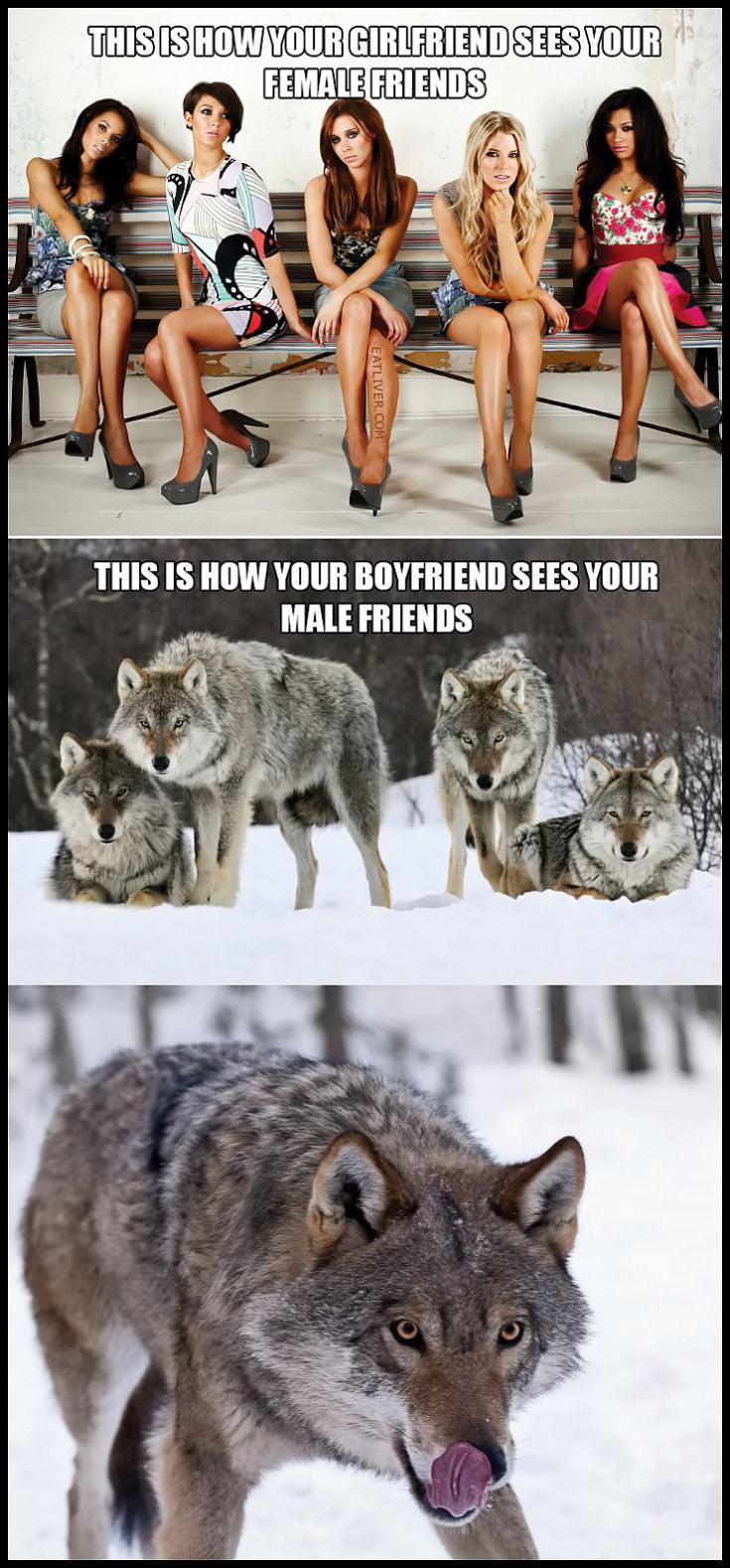 Obrázek female friends - male friends