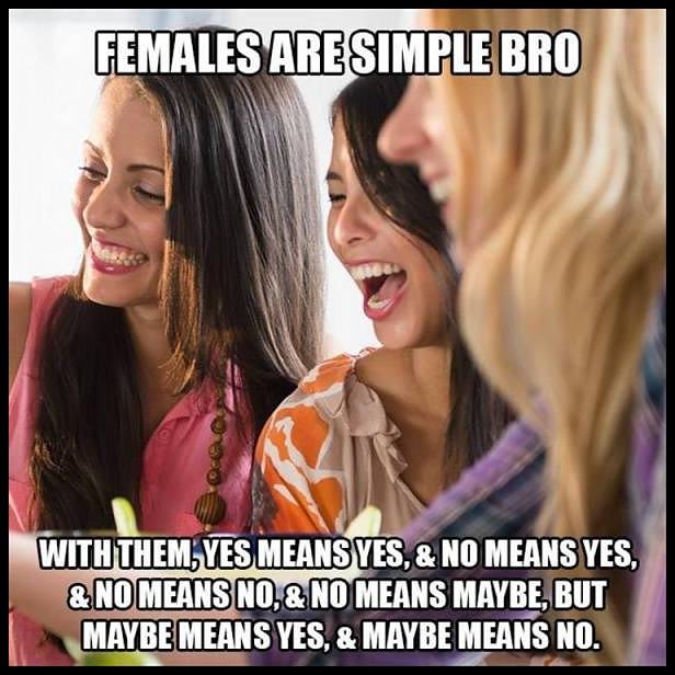 Obrázek females are simple - bro