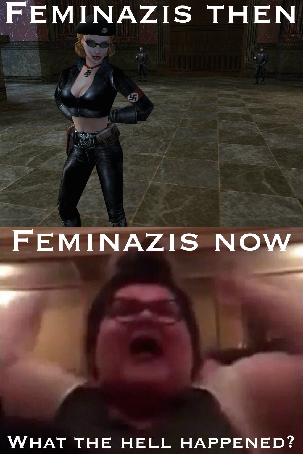 Obrázek feminazis