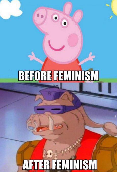 Obrázek feminism-before-after