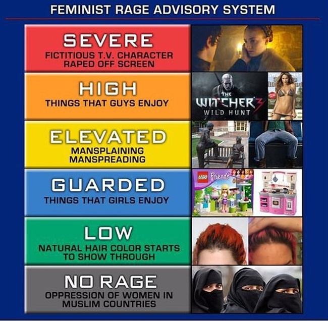 Obrázek feminist rage advisory 540
