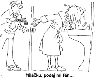 Obrázek fen