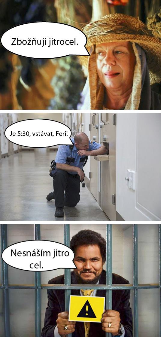Obrázek fer