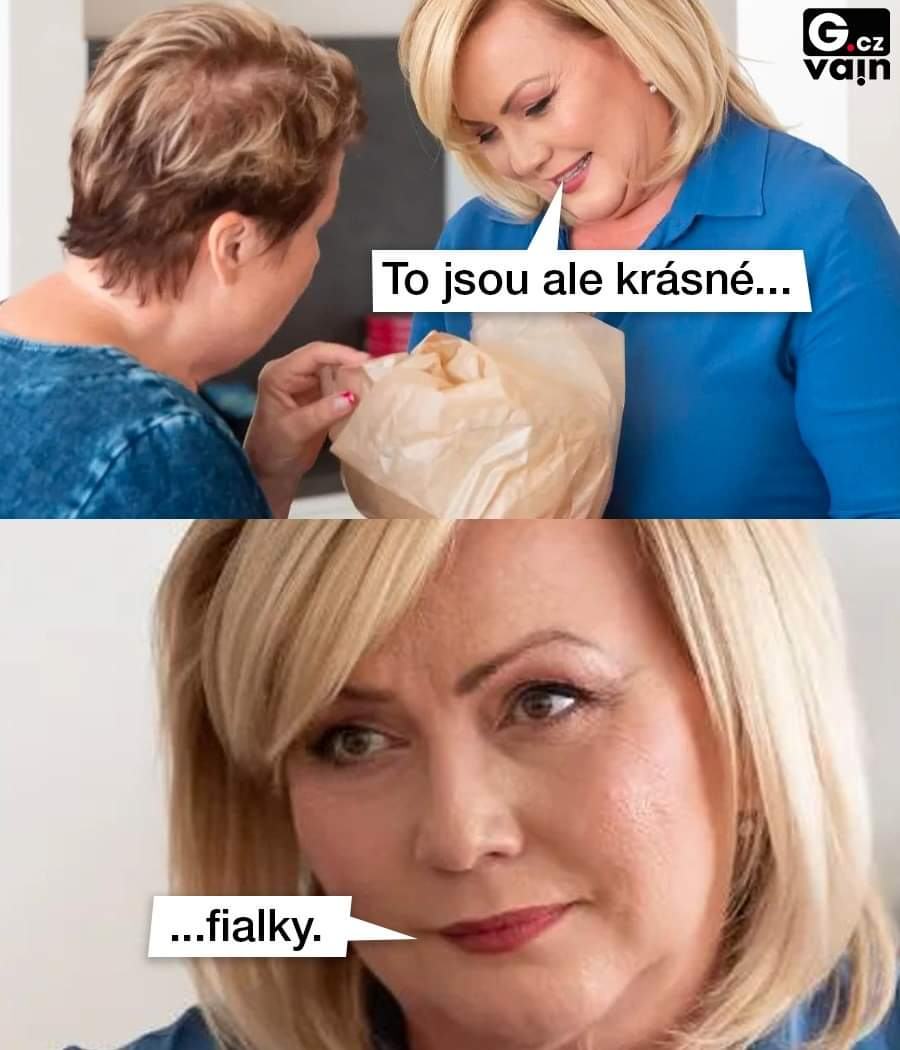 Obrázek fialky