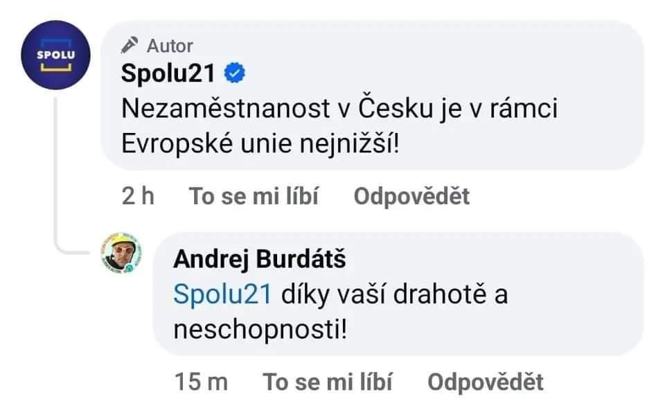 Obrázek fialova bida1