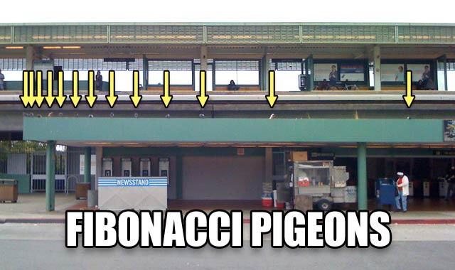 Obrázek fibonacci pigeons